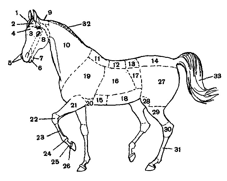 ���. 1. 1 - ����� , 2 - ����, 3 - ���, 4 - ���������� ����, 5 - ������, 6 - ����������, 7 - �������� ����, 8 - ����, 9 - �������, 10 - ���, 11 - �����, 12 - �����, 13 - ��������, 14 - ����, 15 - ������� ��������, 16 - ���, 17 - ���, 18 - �����, 19 - �����-�������, 20 - ������, 21 - ����������, 22 - ��������, 23 - �����, 24 - ������� ������, 25 - '�����', 26 - ������ � ������, 27 - �����, 28 - ������, 29 - ������, 30 - ������������ ������, 31 - ������, 32 - �����, 33 - �����