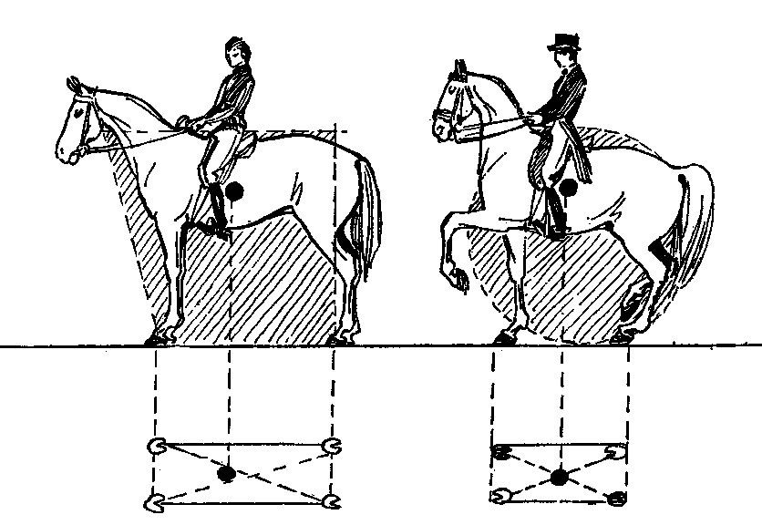 ���. 4. ���� ����������