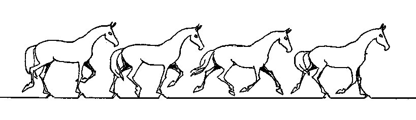 ���. 6. ��� ������ - ����