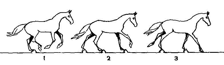 ���. 7. ��� ������ - �����