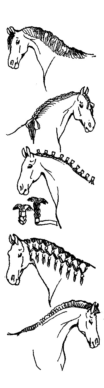 ���. 11. ������� �����