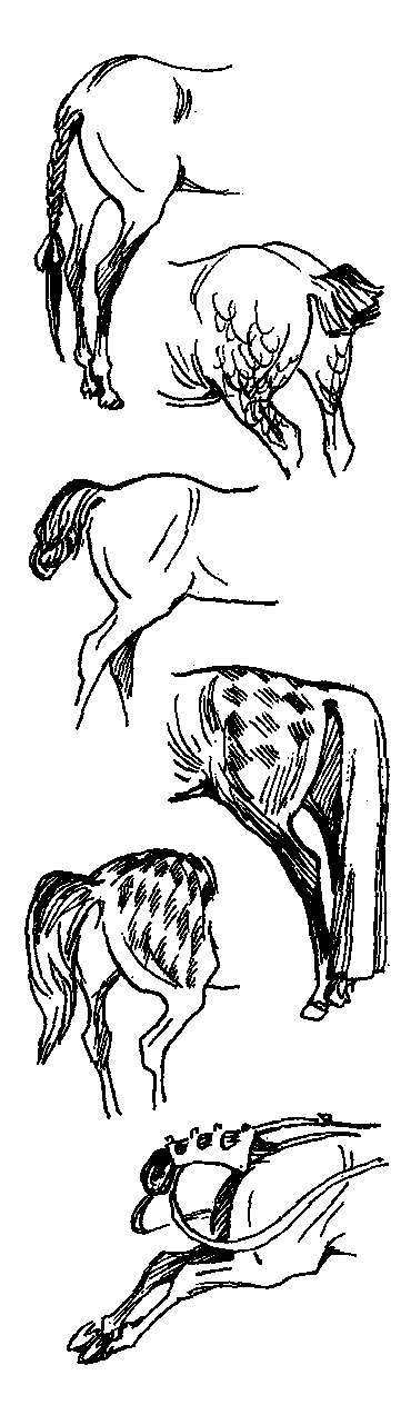 ���. 12. ����� ����� ��������� ������ � ������ �����