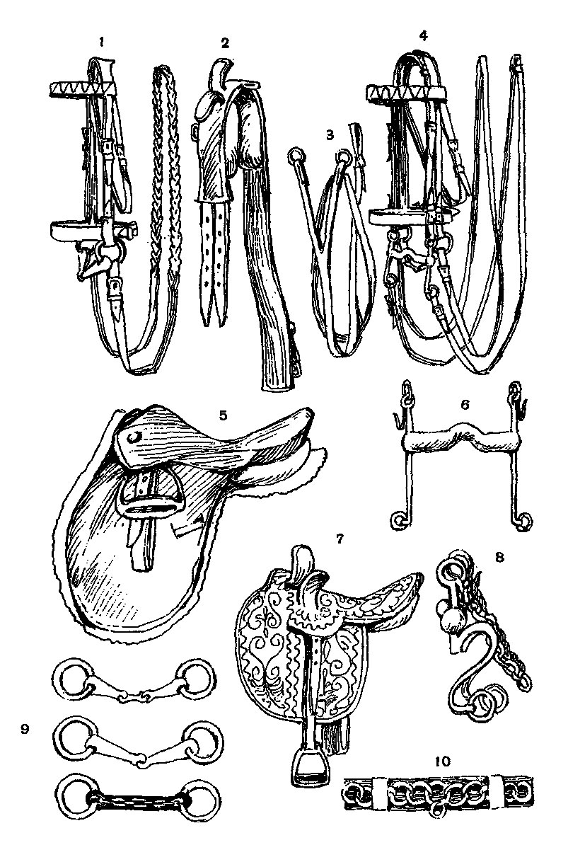 ���. 13. 1 - �������, 2 - ����� � �������, 3 - ���������, 4 - ������� (���������), 5 - ����� ��� �������, 6 - ��������, 7 - ������� �����, 8 - �������� ��������, 9 - ��������(�����), 10 - ����������� �������