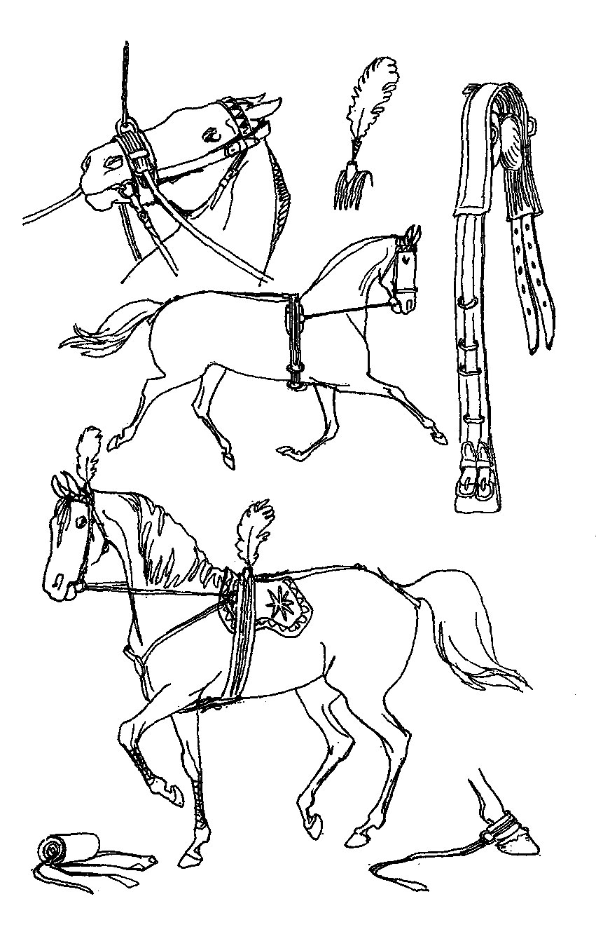 ���. 14. �������� (�����) �������������