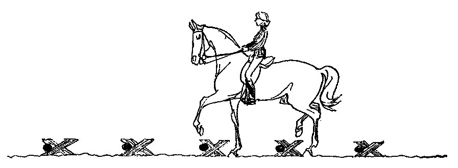 ���. 15. ��������� (�������, �����������)