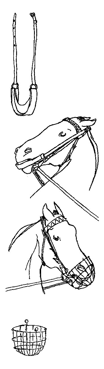 ���. 16. ����������