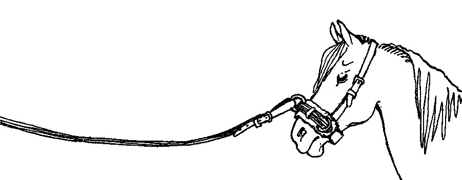 ���. 18. �� ������ �������� ������� ��� ������ �������