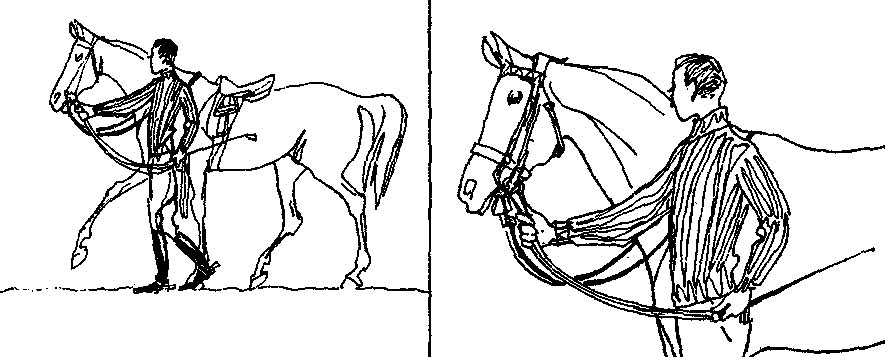 ���. 19. �������� ������ '� �����'