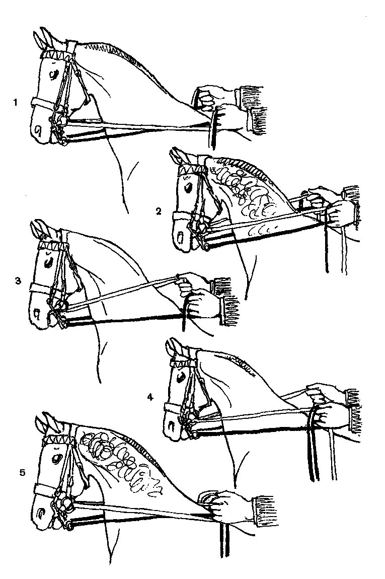 ���. 22. ������� �������� ��������. 1 - �������, 2 - �����������, 3 - ��������, 4 - ��� ������, 5 - ������� � ����� ����