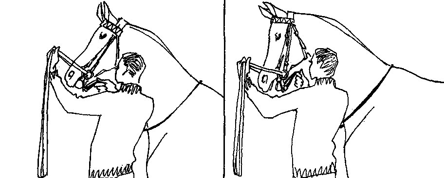 ���. 20. ���������������� ���������� � ������ ��������� ��� � ������ ������