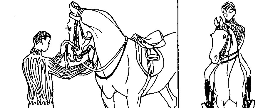 ���. 24. ������ �� �������� ��� ��������� ������� �������� �� ������ ������� � ������ � �����