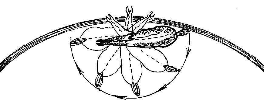 ���. 25. ��������� ����� ������� ������ ������� ���������� �������� ��������� - ������ ��� �������� ��������