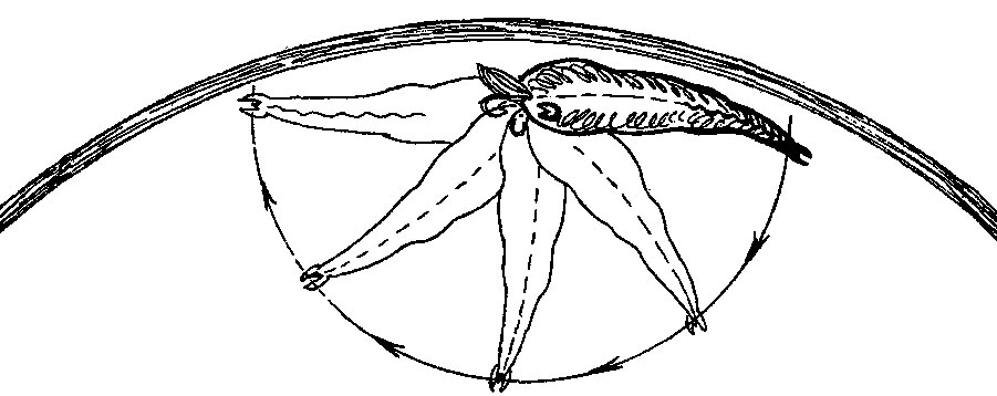 ���. 26. ������ ����������� ��� ��������� ����� ������ �������� ���������� �������� �� �� ������ �����