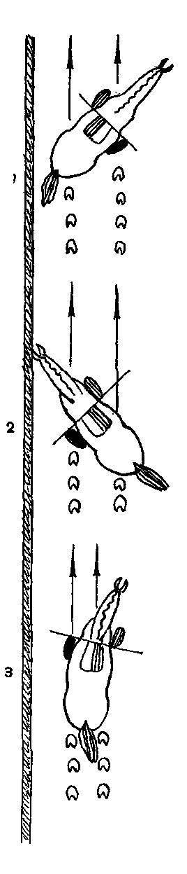 ���. 27. 1 - �������, 2 - �������, 3 - ������ ������