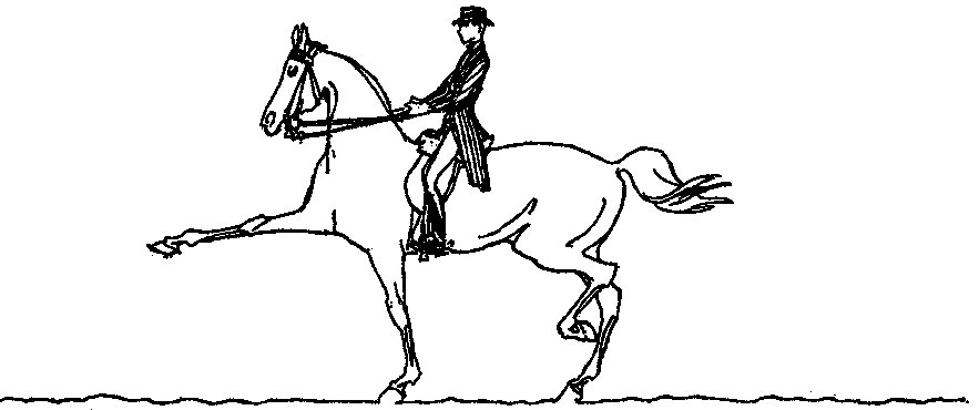 ���. 29. ��������� (��������) ���