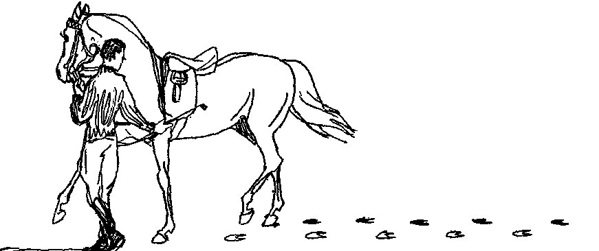 ���. 28. ������ �������� ���������� '� �����' (��� ��������)