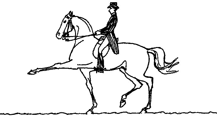 ���. 31. ��������� (��������) ����