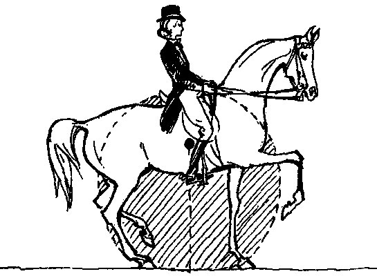 ���. 32. ������