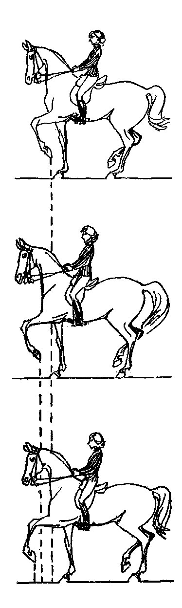 ���. 33. �������� ������ � ����