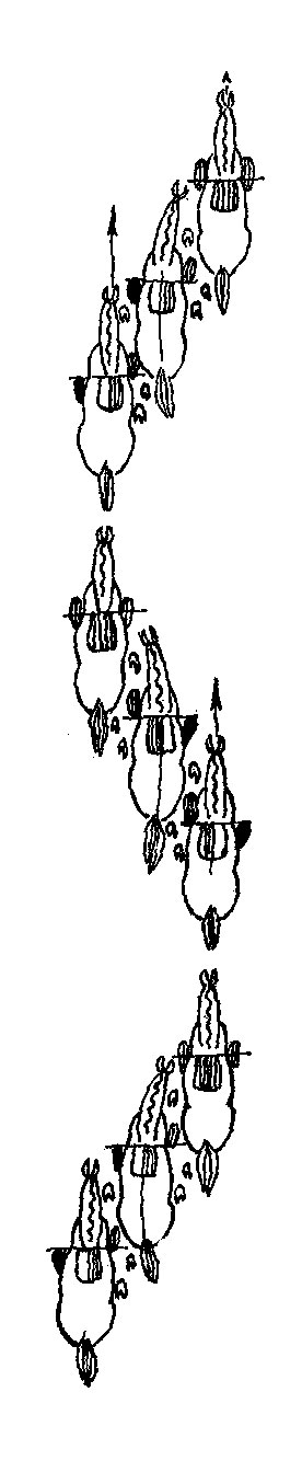 ���. 34. ��������� (��� ������) �� �������