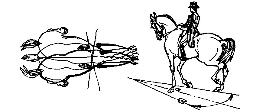 ���. 35. ������� ������� ������