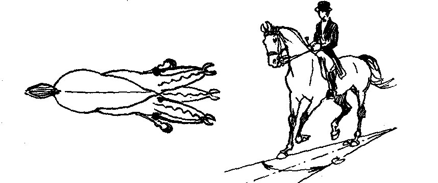 ���. 36. ������� ��������� ������