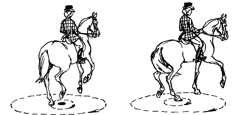 ���. 37. ������ �� ������