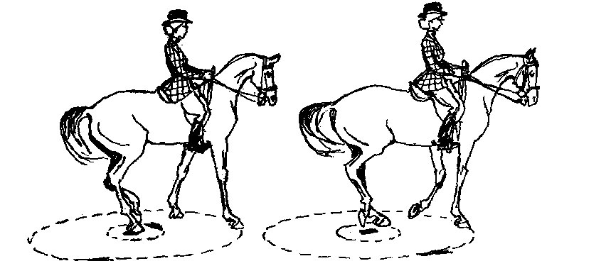 ���. 38. ������ �� ������