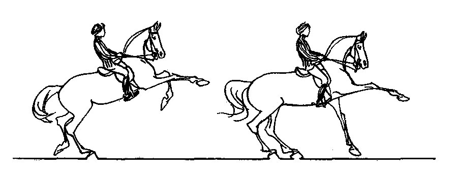 ���. 39. ����� �� ���� �����