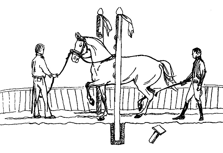 . 41.           2,5 ,   