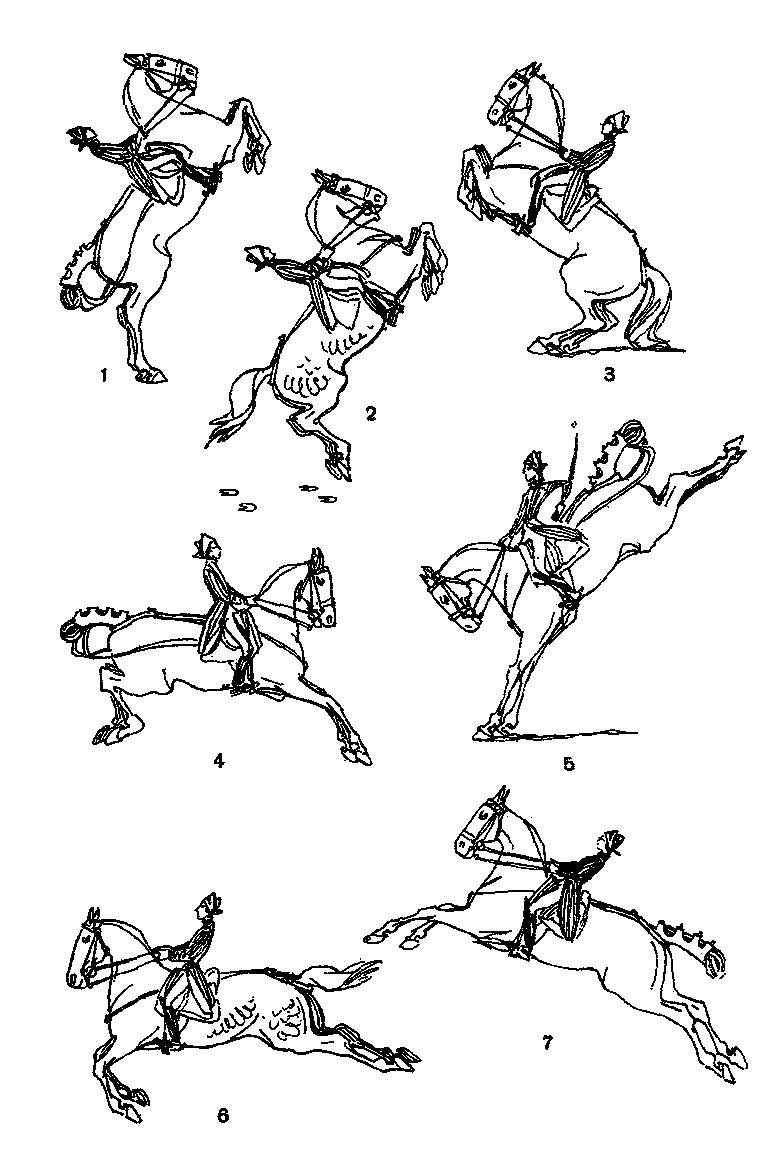 . 42.  . 1 - , 2 - , 3 - , 4 - , 5 - , 6 - , 7 -  