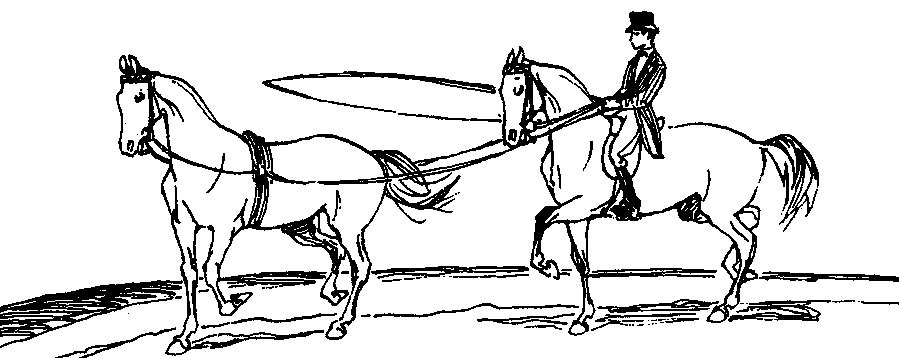 ���. 46. ������ (�������� ������)