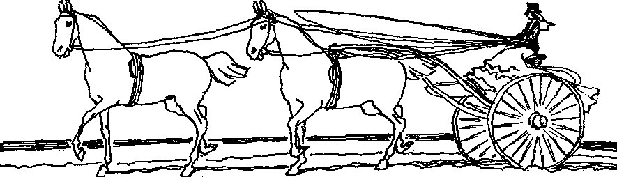 ���. 47. ������� (������ ������������ ���������� ������)