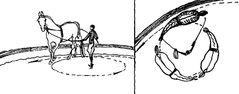 ���. 49. �����