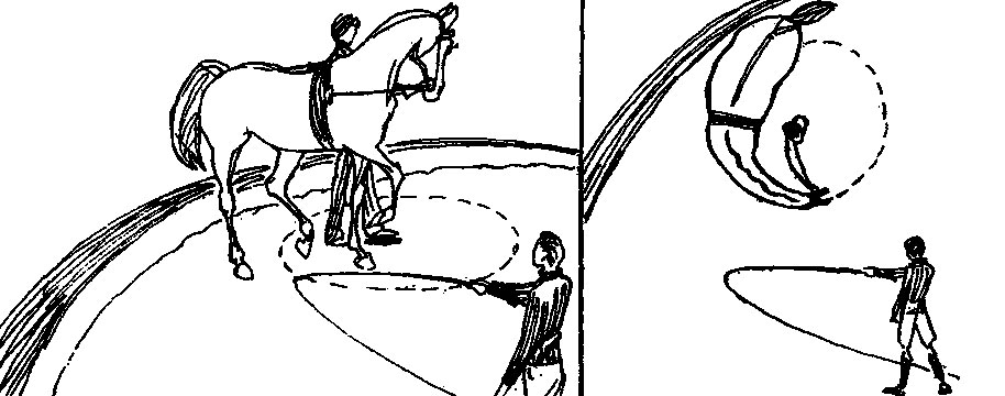 ���. 50. ������