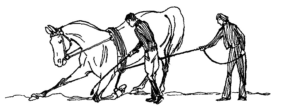 ���. 51. �������� �� ���� ����