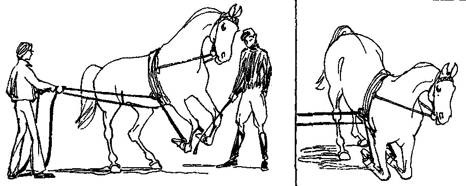 ���. 52. ������� ��� �������� ������������ �������� ���� ������, �������� � ��� ����� ����������� ����� ������ �� ����� ���� �, ������ ����� ������, ����� ������ ��� ��������� ����������� ����� �������� ����������� ������ ���� �� ����� (����������), ����������� ����� �� ������ ����, ��� �������� ������ ���������� �� ��� ��������