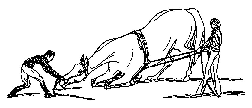 ���. 53. ����������� �������� �� ��� ��������, ������ ����� �������� ������, �� �� ����� ���������� ��������� ����� � ���� ���������, ��������� ���� ��������� ���������� ������� �� �������