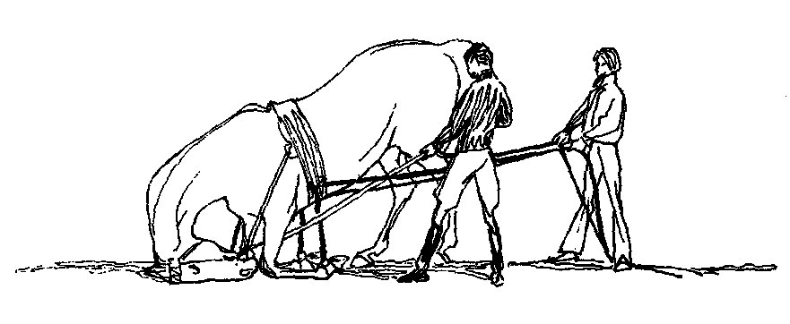 ���. 54. ��� ��������� ������ �� ���� ��� ��� �������� (�������� �� ���� ��� ��� ����) ����� ���� ��������� ��������� ������. � ������� ������ ������ ����� ���� ������� ���� ����� ��� � �������� ���� ������