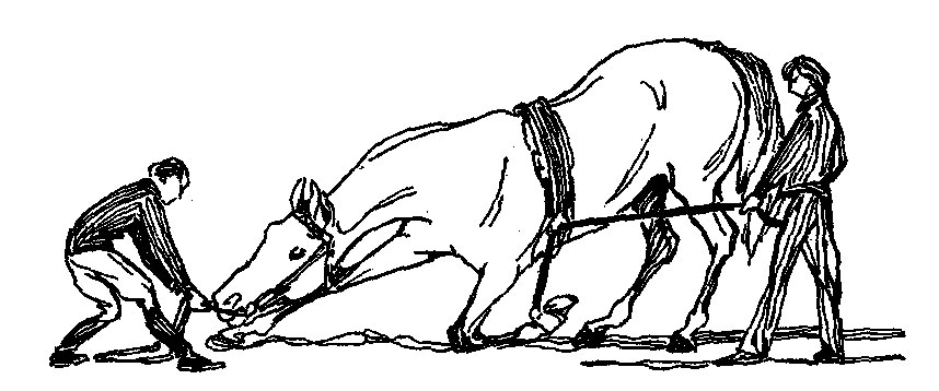 ���. 55. ��� ������ ������ ���������� �� ���� ��������, ��������, �������� �� �����, ����� ������ ������ ���� � ������ � ���������� �� �� ��������� ����