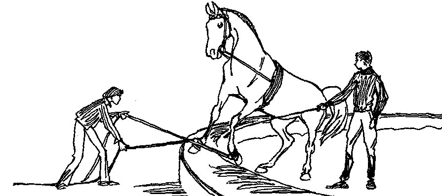 ���. 56. ���� ������ ����� ����������� �� ����� ��� ������ �������, ������� �� ����