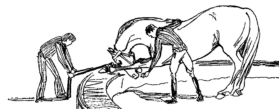 ���. 58. ������������, ���� � ����� ������� � ������ ������, ������� ������ ������ �� ����������� ������ � ������ ��������� ������ ���������, ����� �������� ���� ���������� ������, ��������� ����� �������, � ������ ������ ������������ ���������� ����� ��� � ���� ������. � ���� ������, �������� �����, ������� ��-��� ���� ������ ������ ���������. �������� ��� ����� ������ ������ ���������� ���������� ���� �� �������