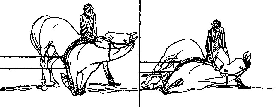 ���. 59. �� ������� '����!' ������������ ������� ��� �������� �������� �� �������� �����, � �������� ����������� ���� ������� �� �������, ��������� ������ ���������� �� ��������. ������������ � ���� ������, �������� ��� � ����� ������� � ������ ������ � �������� �� ������ �����, ����������� ������ ������ ���������, ����� ������, ������� ����������, ���� ���������� �� ����� ���. ������� �� ������� ������� ���������� �������� ���� � �������� ���������, ����� ������ �� ����� ��������