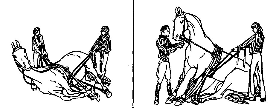 ���. 60. ������, �������� ������� ���������, ��������� �� �������� ���� (������ ������� ������������� �������� ��� ���������). � ���� ��������� ���� �������� ���������� ������ ����, �������� ����� ������ ���, ����� ��������� �����, ���� ��� ��������, ��������� ��� ����, ����� ������ ���� ������ ��������� ������ ������ �������� ���