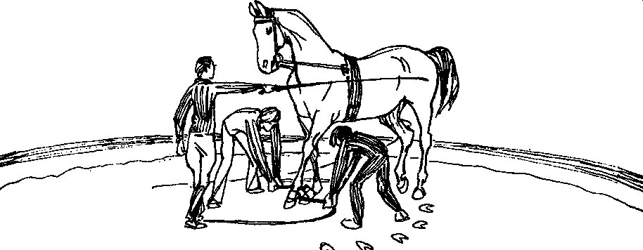 ���. 61. �� ���� �������� ������� ������ �������� �� �������� ����� �������� ������ ���� ������ ������ �� ����� �����, � ������ - ����������� �� �������