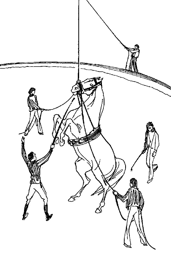 ���. 62. �� ������ ����������� ������, �� ������� ��� ���������� �������������, �� ������� ����� � ������� ���������� � �������, ��������� �����. � ���� ������ ��� ���������, �������� ������������, ������ ���������� ������ �� �����: ��������, ����������� ������, �������� �� �� �����, �� �������� ��������� �����; ��� ������ ���������� �������� �������; ��������� �������� ����������� �� ������� ������������ ������