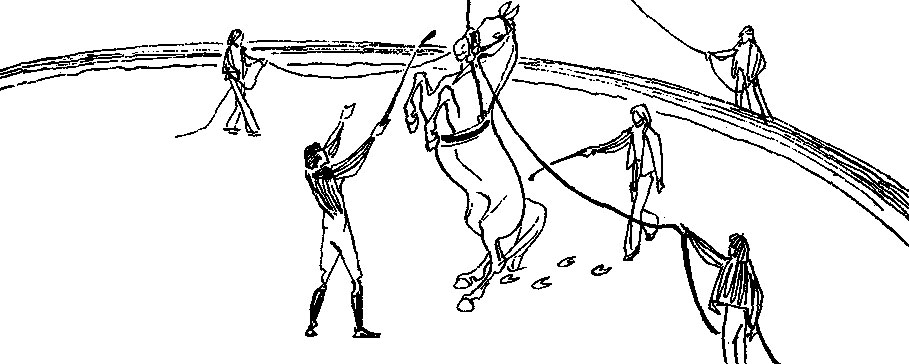 ���. 63. ������������ �� ������� '�����!' (��� '���!') � ����� ������ ���� � ��������� ��������� ������ �� ������ ���� � �������� ��������� � ��������. ��������� ������ ������������ �������������� �� ������, �������� �� ��������� ������: ����������� ������ �� ����� �������� ������ �� �����, ��������� � �������� ������� ���������� ������ ���������, �� ��������� � �������, � �������� � ������� ������ �� ���� ������ ����������