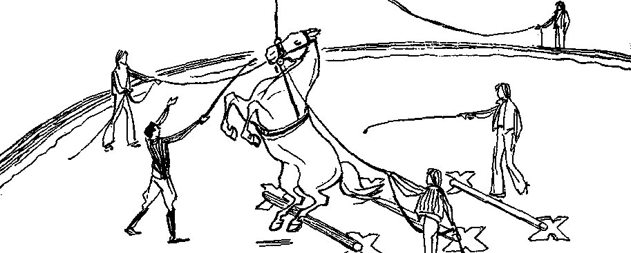 ���. 65. ������ �� ������ ����� ����� �����������