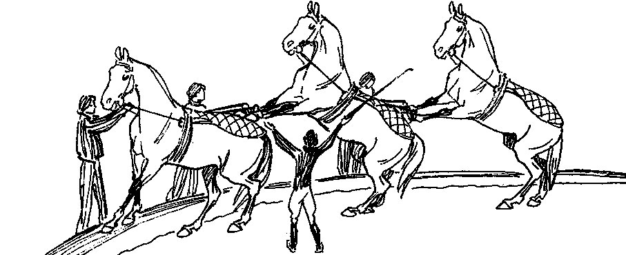 ���. 66. � ����������� '�� �������' '��������' ������������ ����� �������� ������ �� ���������� ������������ �� ������ ���� �������� ���� �� ������ �������, ����������� ��������� ������ �� ���� ������� ������� ������