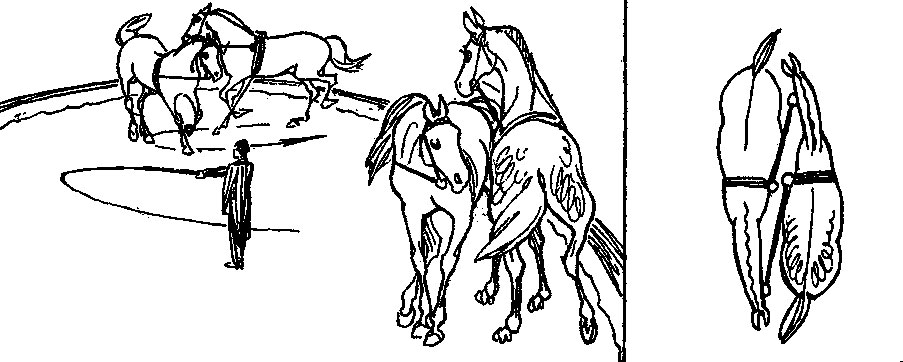 ���. 67. ������������ ���� �������